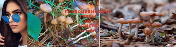 гашишное масло Абинск