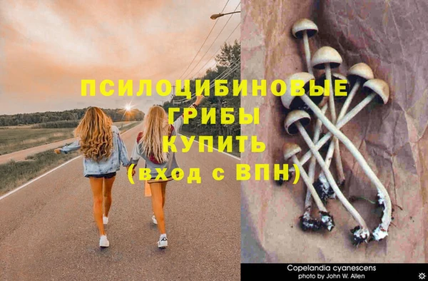 jwh Пролетарск