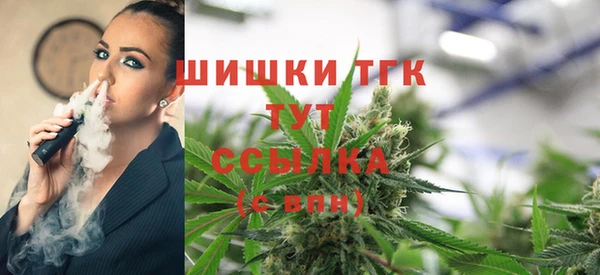соль ск Протвино